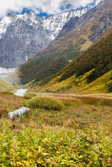 valley-of-flowers-trekking-package